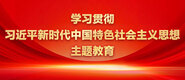 白丝婊子被操啊啊疼学习贯彻习近平新时代中国特色社会主义思想主题教育_fororder_ad-371X160(2)